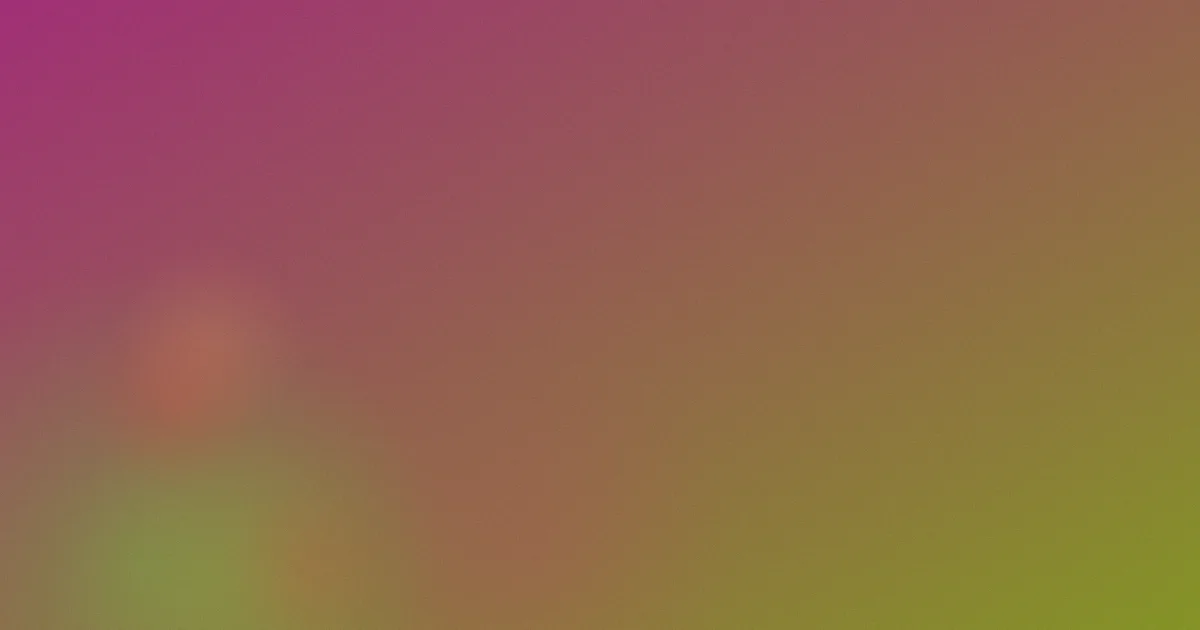 洗衣店小新在线观看攻略对比